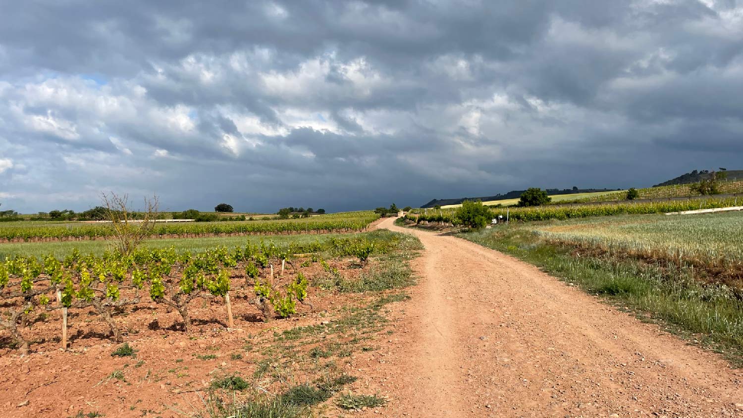 Un rêve réalisé : Sur le chemin de Saint-Jacques à vélo, l’aventure d’une vie